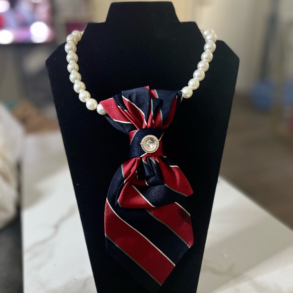 Elegant Red and Blue Striped Tie Necklace with jeweled brooch..